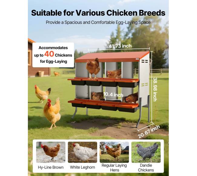 8 skyrių vištų lizdai su atraminėmis kojelėmis1