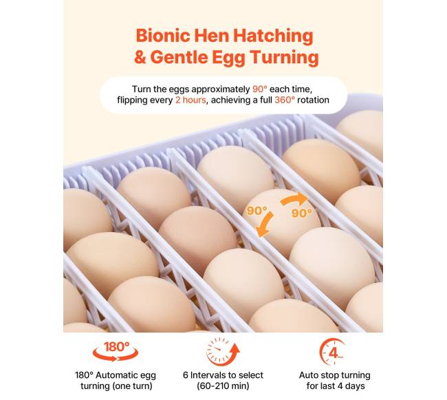 48 kiaušinių inkubatorius su automatiniu kiaušinių sukimu3