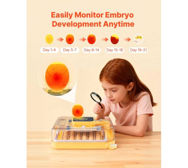 48 kiaušinių inkubatorius su automatiniu kiaušinių sukimu4