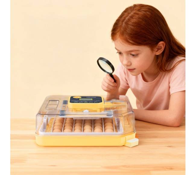 48 kiaušinių inkubatorius su automatiniu kiaušinių sukimu7