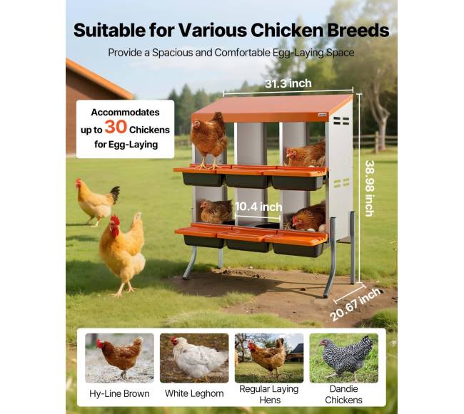 Vištų lizdų dėžės su 6 skyriais1