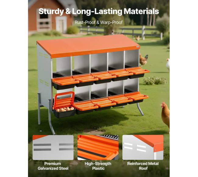 Dėžės vištų kiaušinėliams su 10 skyrių2