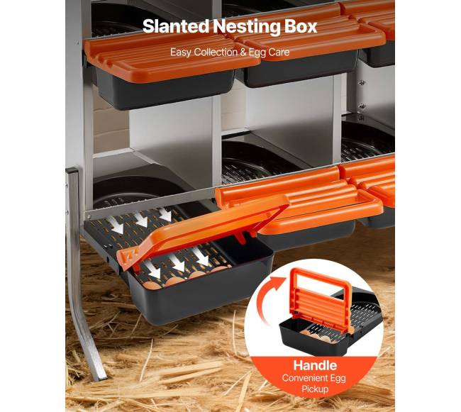 Dėžės vištų kiaušinėliams su 10 skyrių3