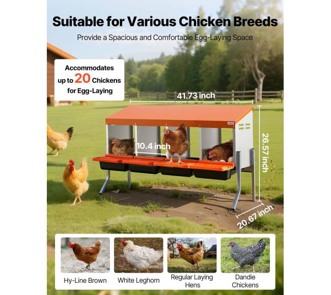 Vištų dėtuvės su 4 skyriais1