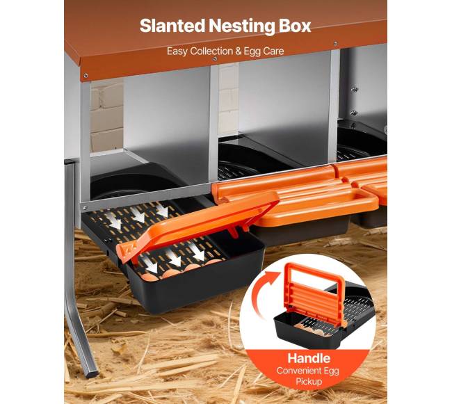 Vištų dėtuvės su 4 skyriais3