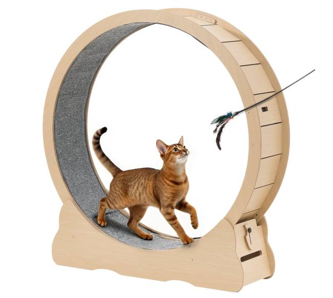 Medinis kačių bėgimo ratas vidiniams katėms0