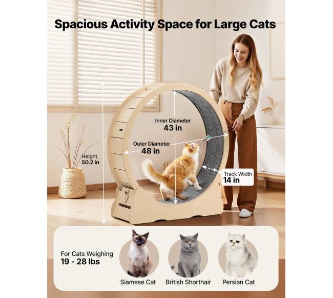 Medinis kačių bėgimo ratas vidiniams katėms1