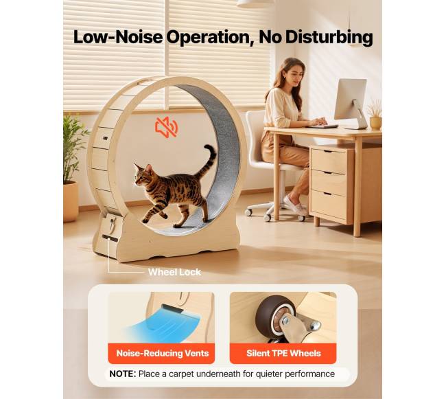 Medinis kačių bėgimo ratas vidiniams katėms3