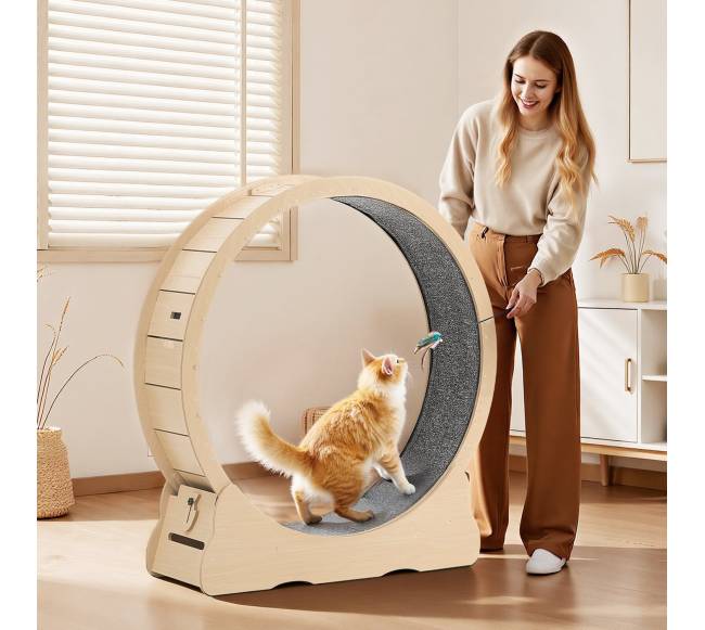 Medinis kačių bėgimo ratas vidiniams katėms7