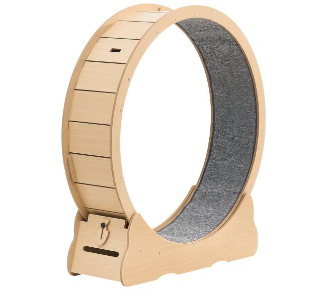 Medinis kačių bėgimo ratas vidiniams katėms10