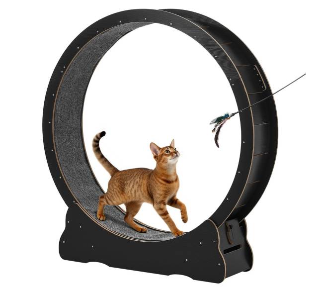 Medinis kačių bėgimo ratas 132 cm0