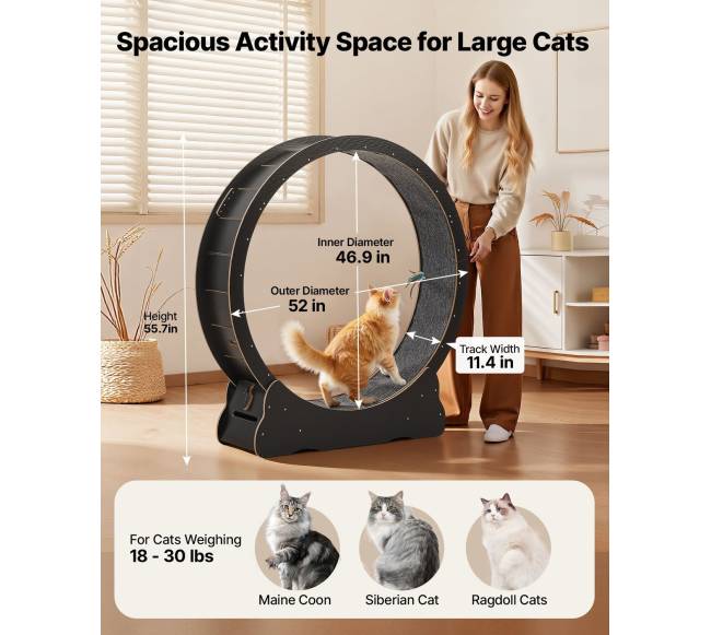 Medinis kačių bėgimo ratas 132 cm1