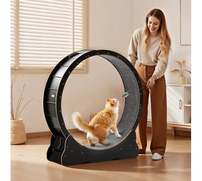 Katės bėgimo ratas 120 cm juodas7