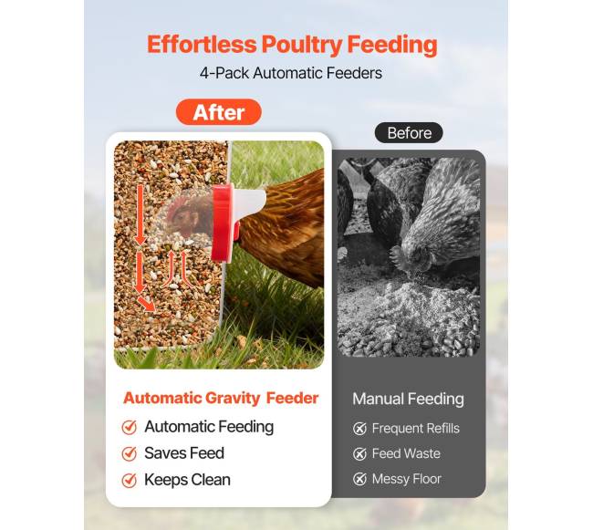 automatinis vištų lesykla su 4 angom1