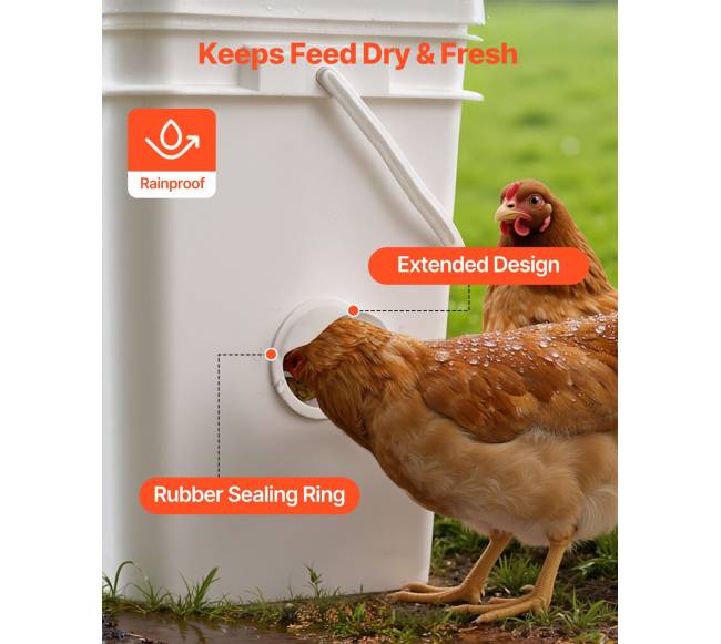 automatinis vištų lesykla su 4 angom2