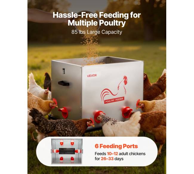 Automatinė vištų lesyklė, 38.56 kg, 6 angos1