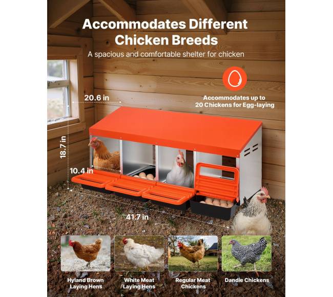 Keturių skyrių vištų lizdų dėžės1