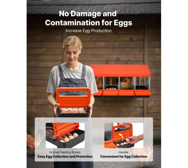 Keturių skyrių vištų lizdų dėžės3