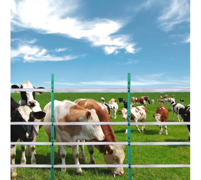 500m elektrinė tvora gyvuliams7