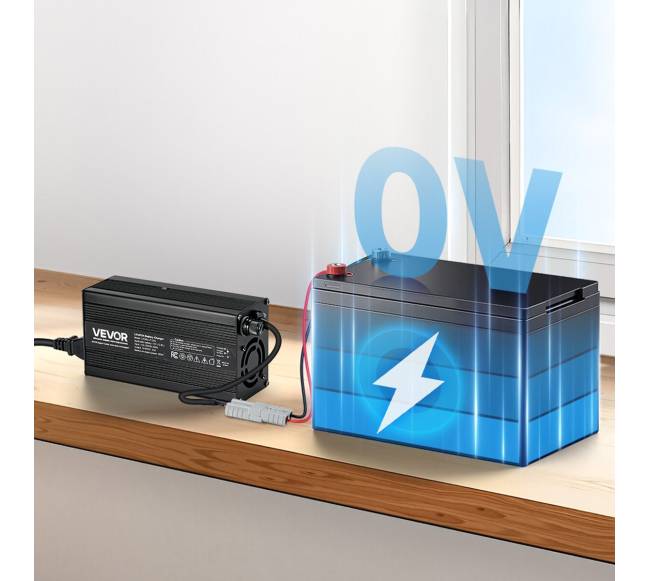 12V 20A ličio baterijų įkroviklis RV7