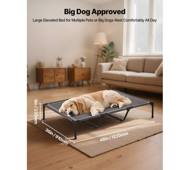 Pakeltas šuns guolis dideliam šuniui3