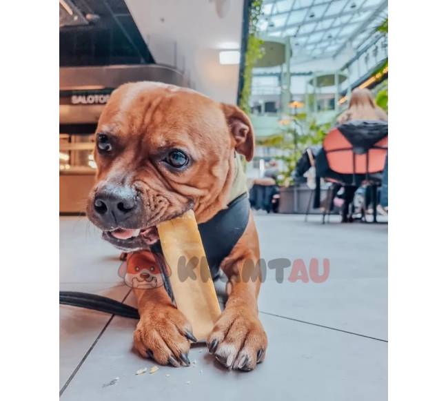 Jako sūrio skanėstas šunims, YAK SNACK, L dydis (138-155 g.)1