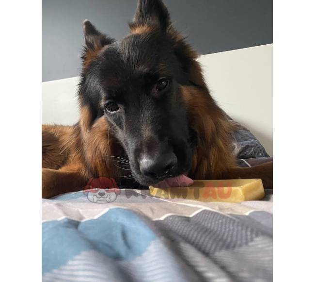 Jako sūrio skanėstas šunims, YAK SNACK, L dydis (138-155 g.)3