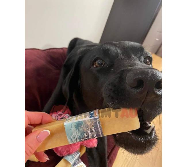 Jako sūrio skanėstas šunims, YAK SNACK, L dydis (138-155 g.)6