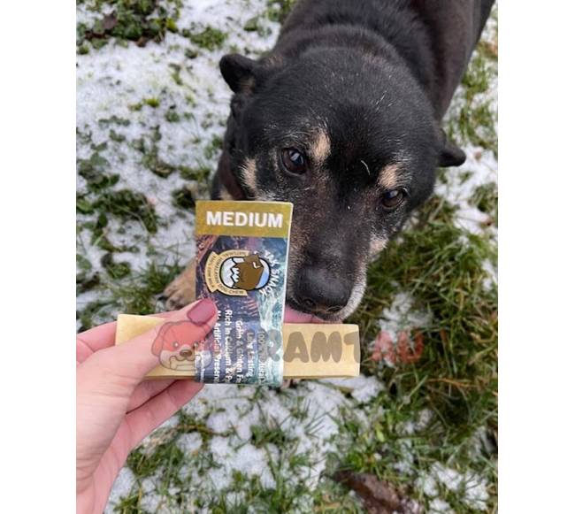 Jako sūrio skanėstas šunims, YAK SNACK, M dydis (68-80 g.)2