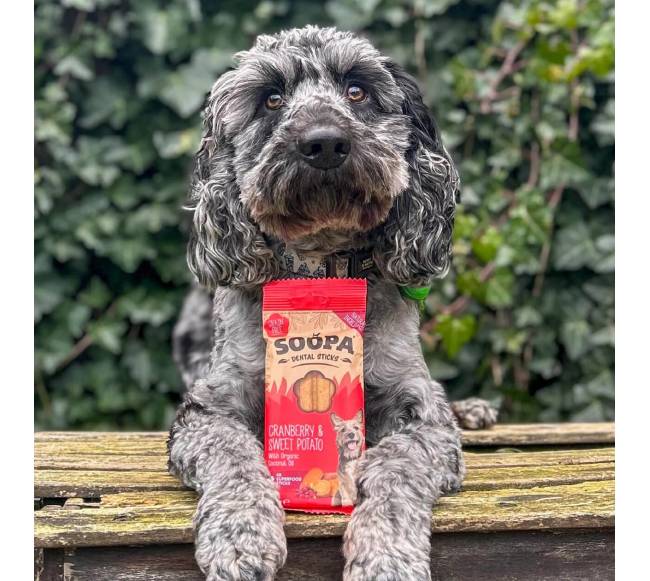 SOOPA Spanguolių ir saldžiųjų bulvių lazdelės šunims, Cranberry - Sweet Potato Dog Dental Sti2