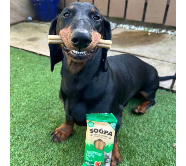 SOOPA Arbūzo ir obuolių lazdelės šunims, Watermelon - Apple Dog Dental Sticks, 100g1