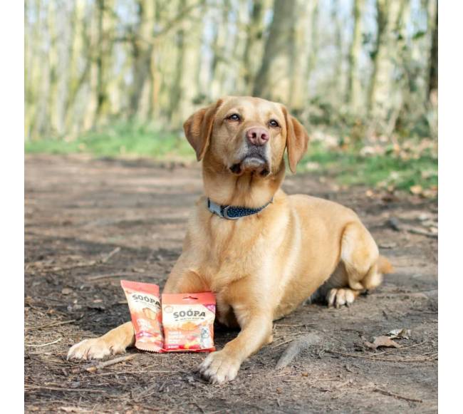 SOOPA Mango ir aviečių lazdelės šunims, Mango - Raspberry Dog Dental Sticks, 100g3