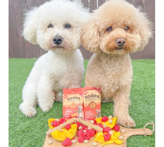 SOOPA Mango ir aviečių lazdelės šunims, Mango - Raspberry Dog Dental Sticks, 100g4