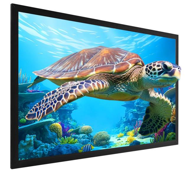 Projektoriaus ekranas 256 cm 16:98