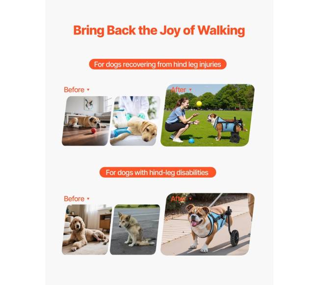 Šuns vežimėlis galinėms kojoms, reguliuojamas1