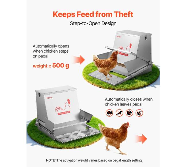 Automatinė vištų lesyklėlė su 18,14 kg talpa1