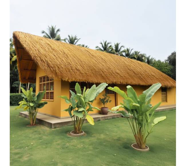 Nendrinis stogo ritinys 0.5 x 6 m7