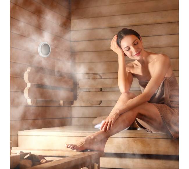 Garų generatorius, 7,5 kW garų dušo sistema su valdikliu7