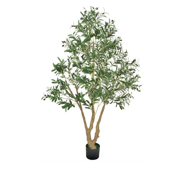 dirbtinis 180 cm alyvmedis su puodu9