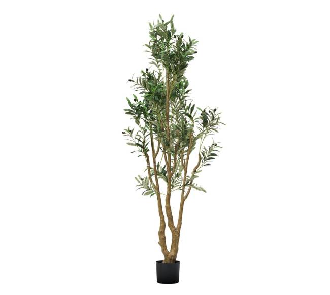 dirbtinis 180 cm alyvmedis su puodu10