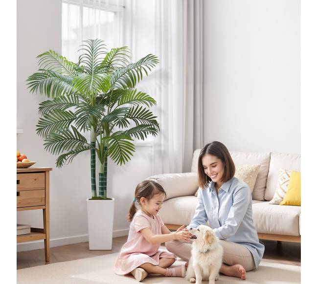 Dirbtinė arekos palmė su baltu vazonu7