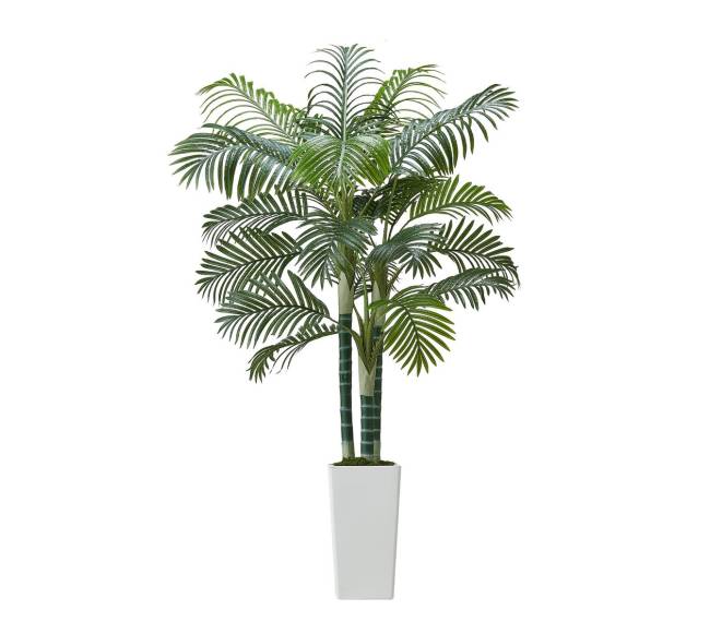 Dirbtinė arekos palmė su baltu vazonu8
