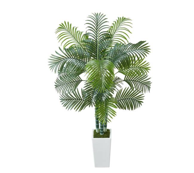 Dirbtinė arekos palmė su baltu vazonu9