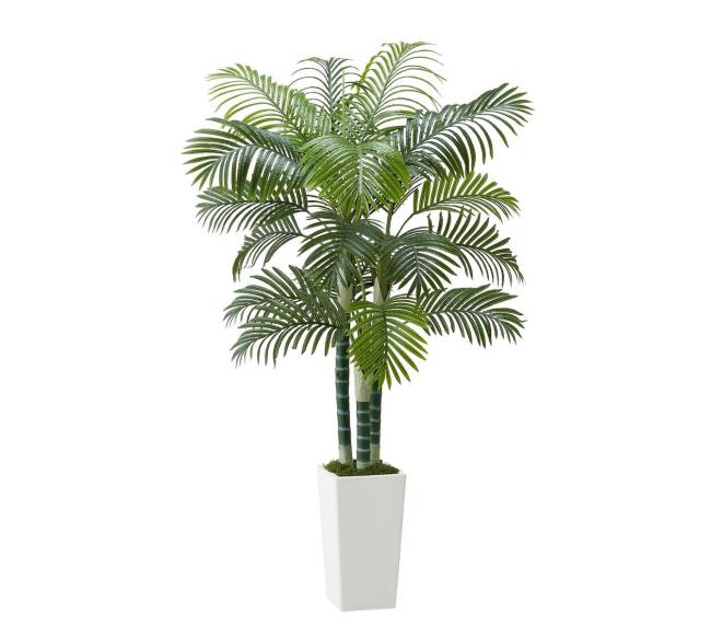 Dirbtinė arekos palmė su baltu vazonu10