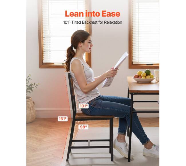 Valgomojo kėdės, 6 vnt., su metaliniu rėmu1