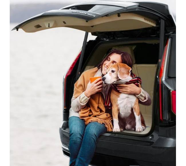 Bagažinės atramos Escalade 2015-20207