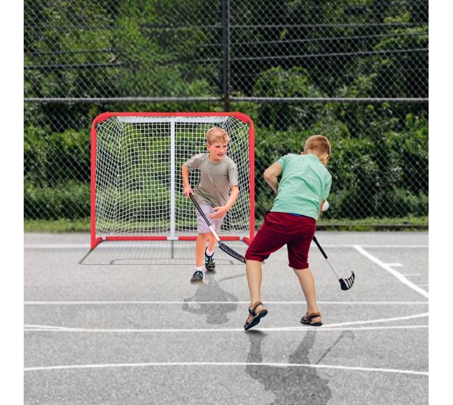 Vaikų ledo ritulio vartai7