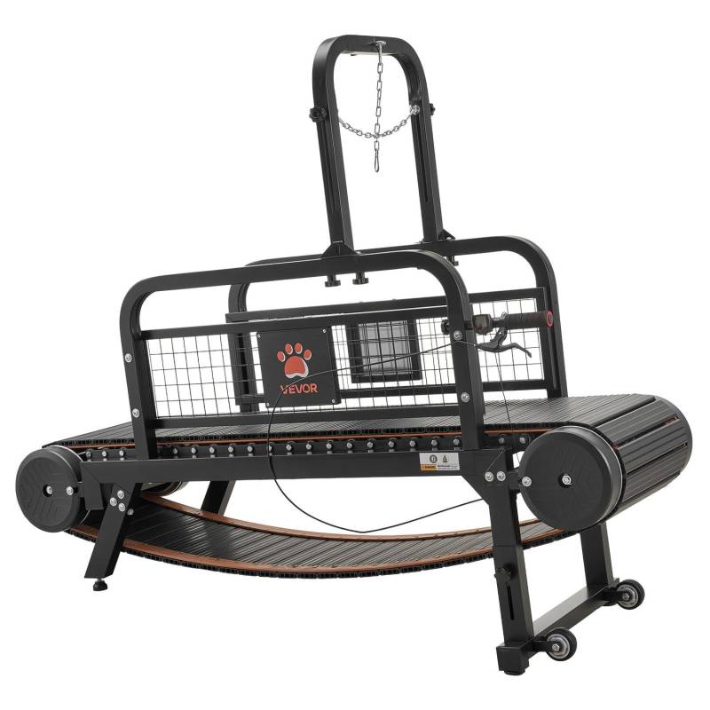 šunų bėgimo takelis dideliems ir vidutiniams šunims0