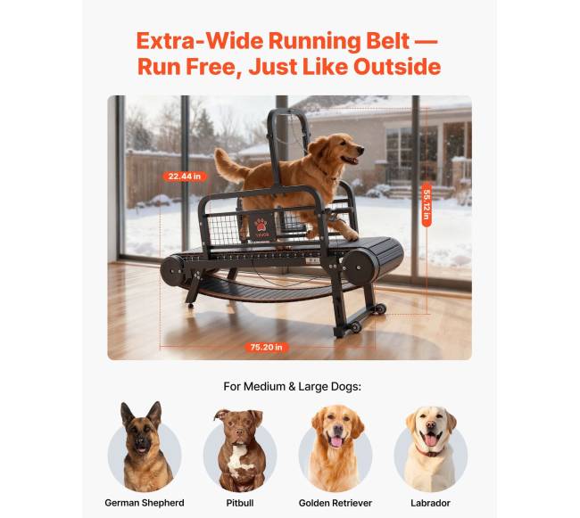 šunų bėgimo takelis dideliems ir vidutiniams šunims1