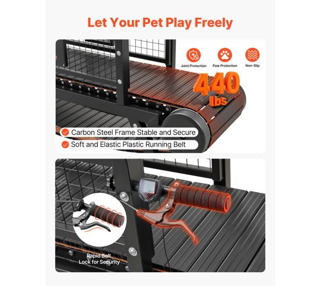 šunų bėgimo takelis dideliems ir vidutiniams šunims2